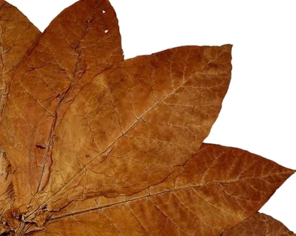 Pipe Tobacco - Vb No. 3 Latte Macchiato Blue - Tube Of 100G